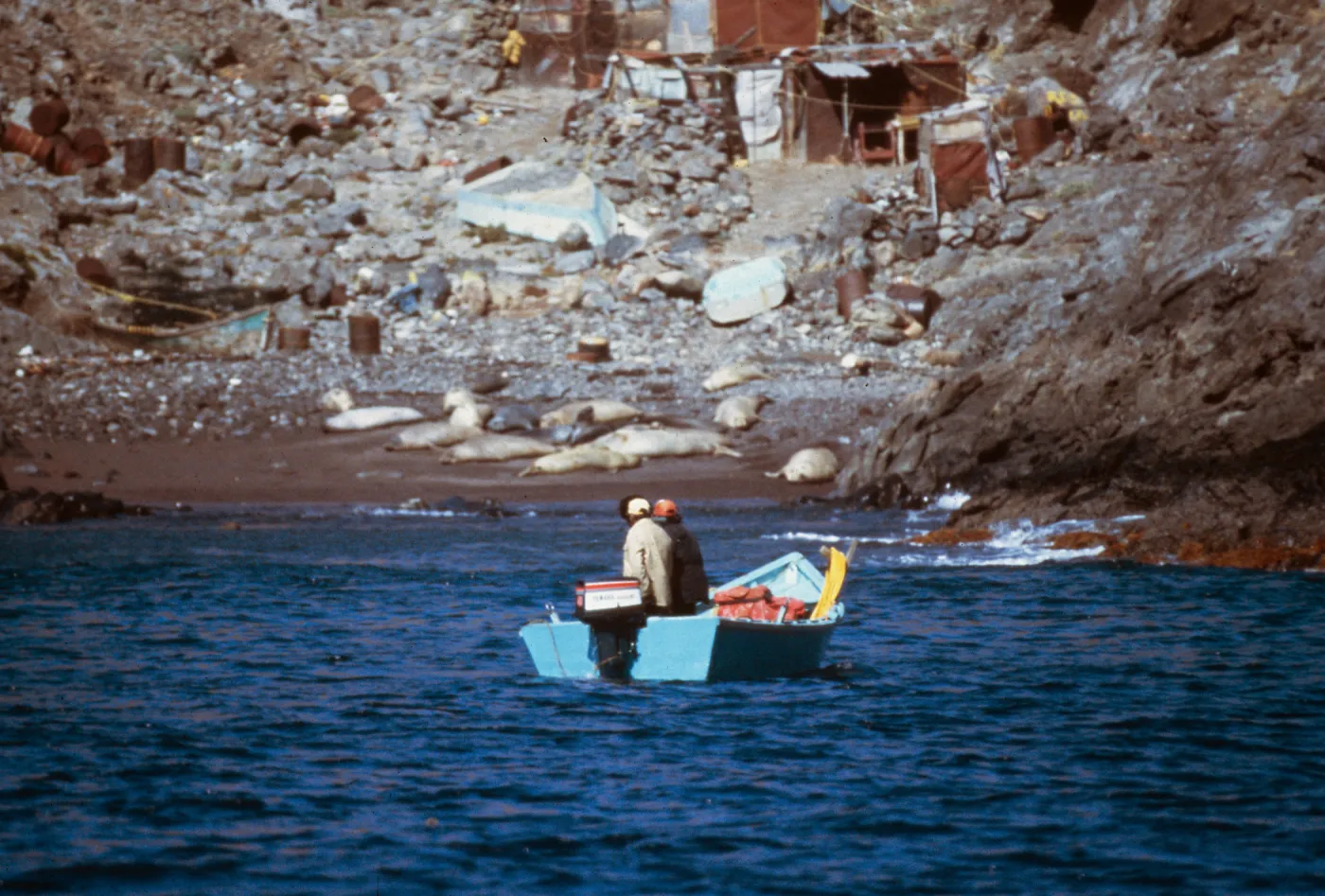 fishermen, fishing village, Southeast Guadalupe Island (slide is duplicate)