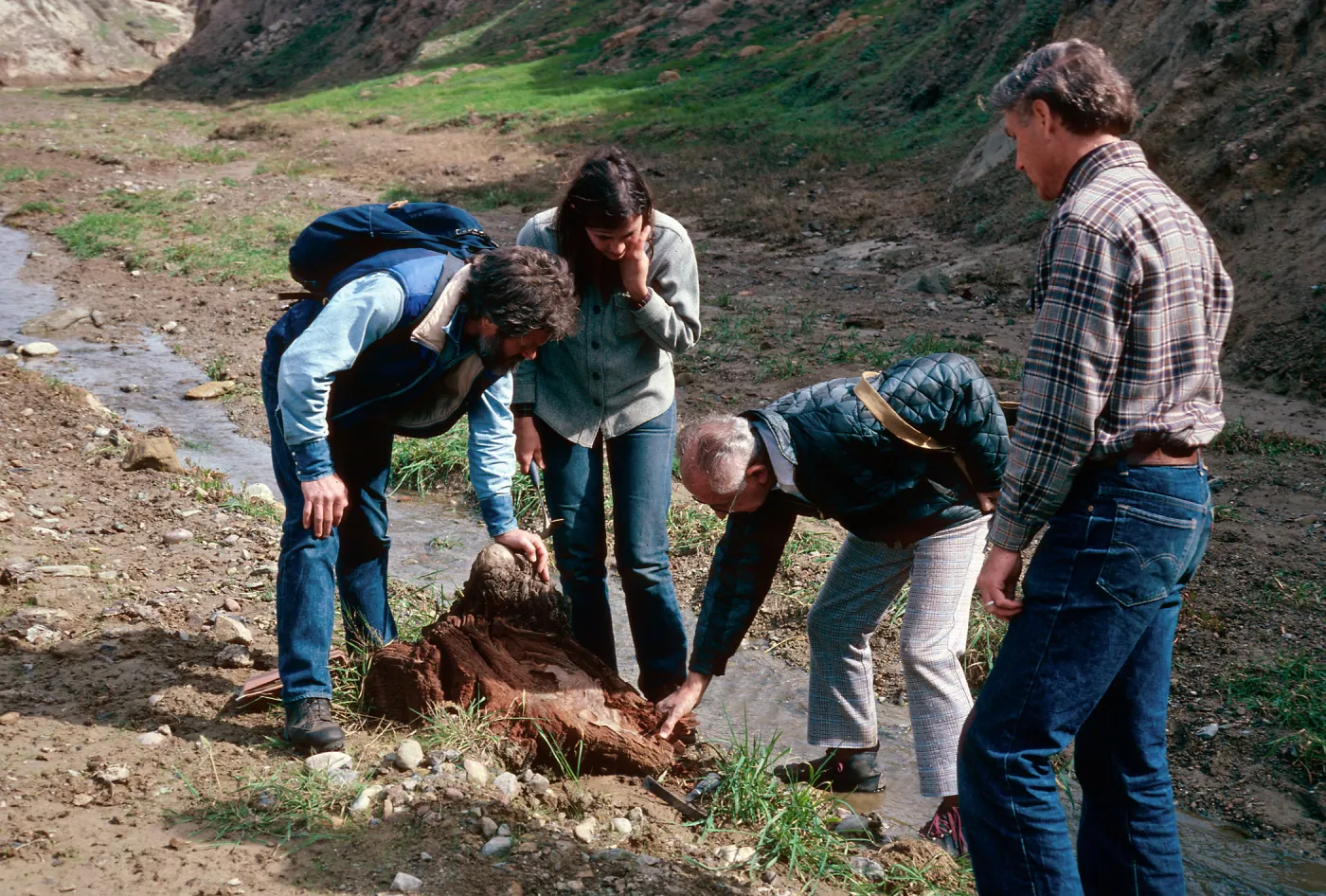 fossil hunting with Dan Axelrod, Cañada de Los Sauces, Santa Cruz Island