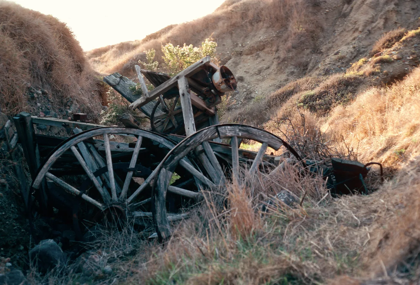 wagon gulch, near Christy Ranch, Santa Cruz Island