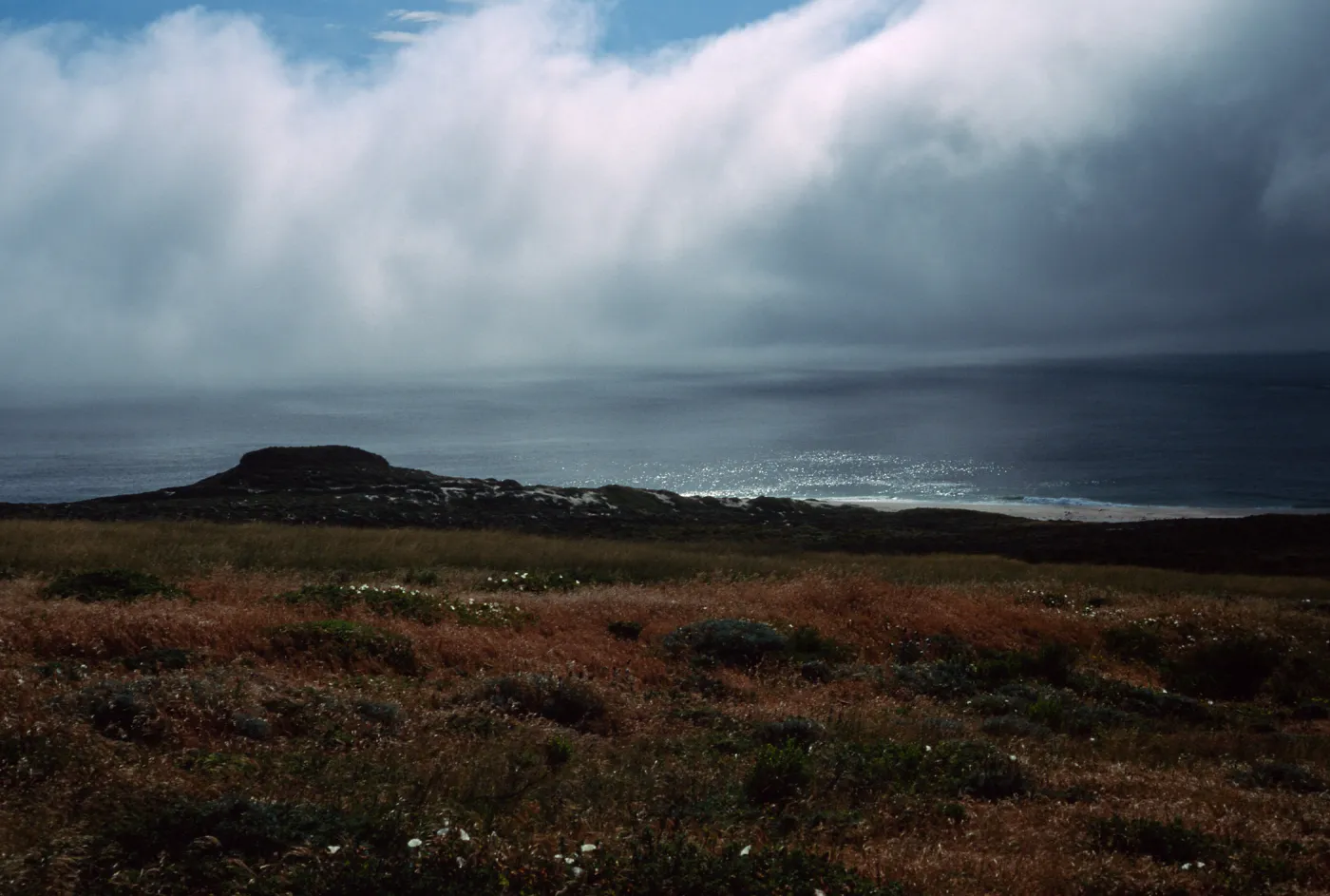 North of Cardwell Point, San Miguel Island