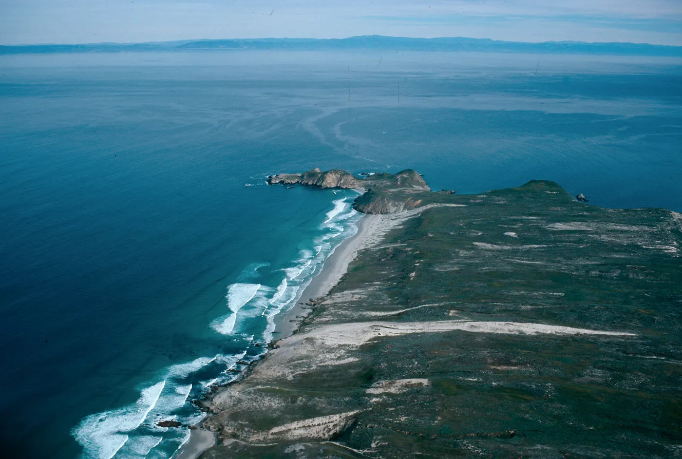 Simonton Cove, Harris Point, San Miguel Island
