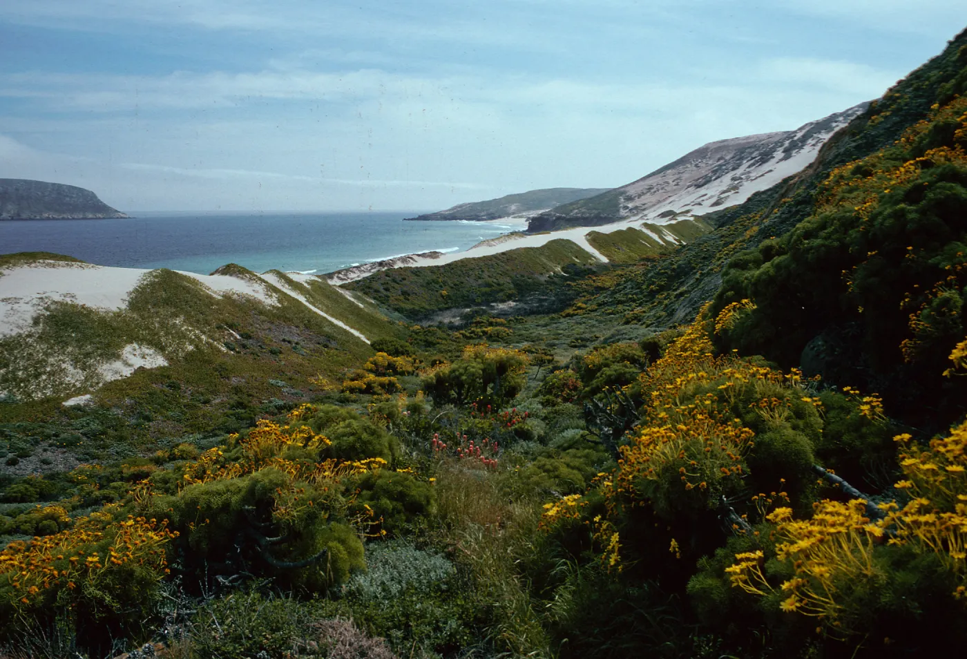 Cuyler Harbor, mouth of Cañada Del Mar, San Miguel Island