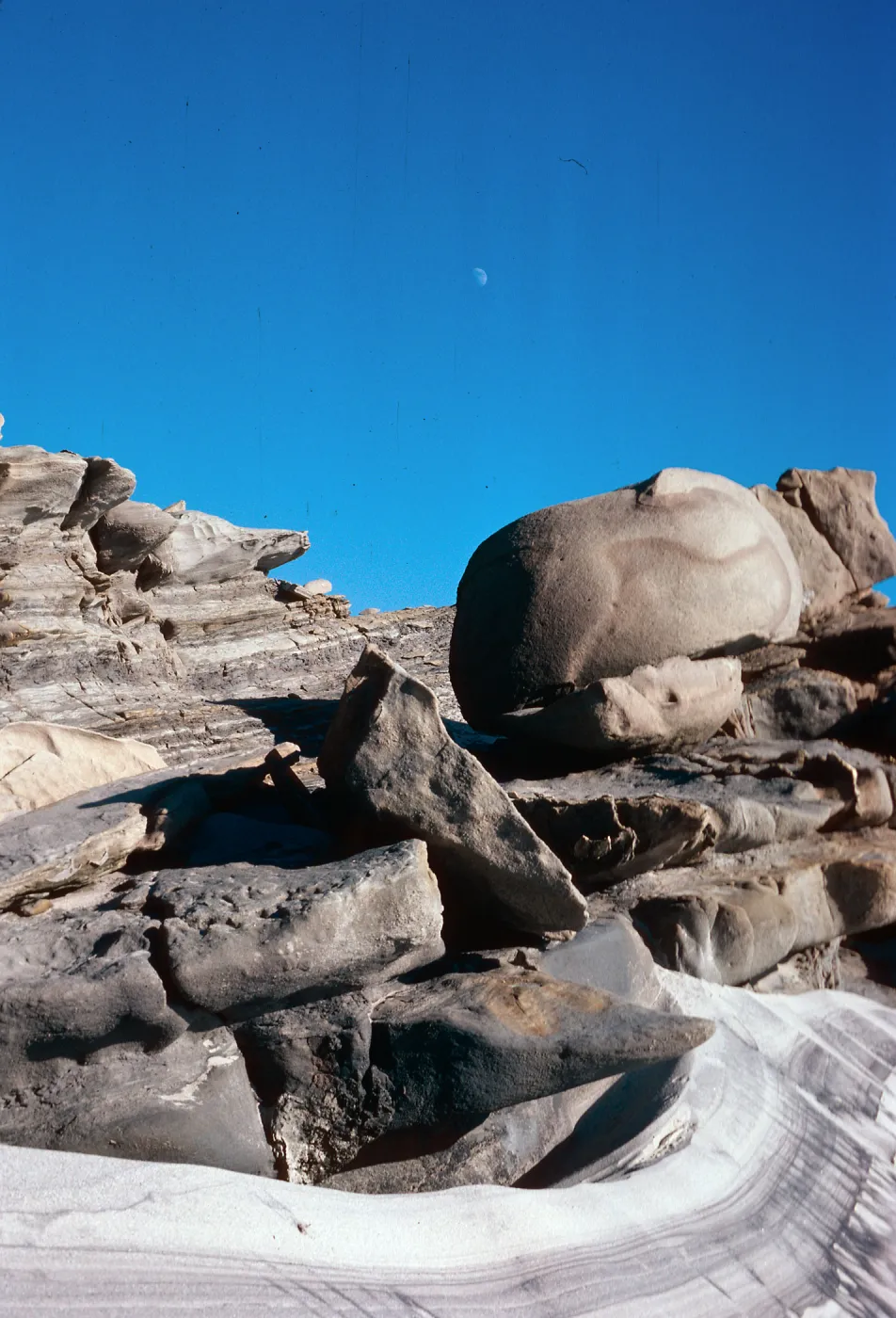 South side, San Miguel Island