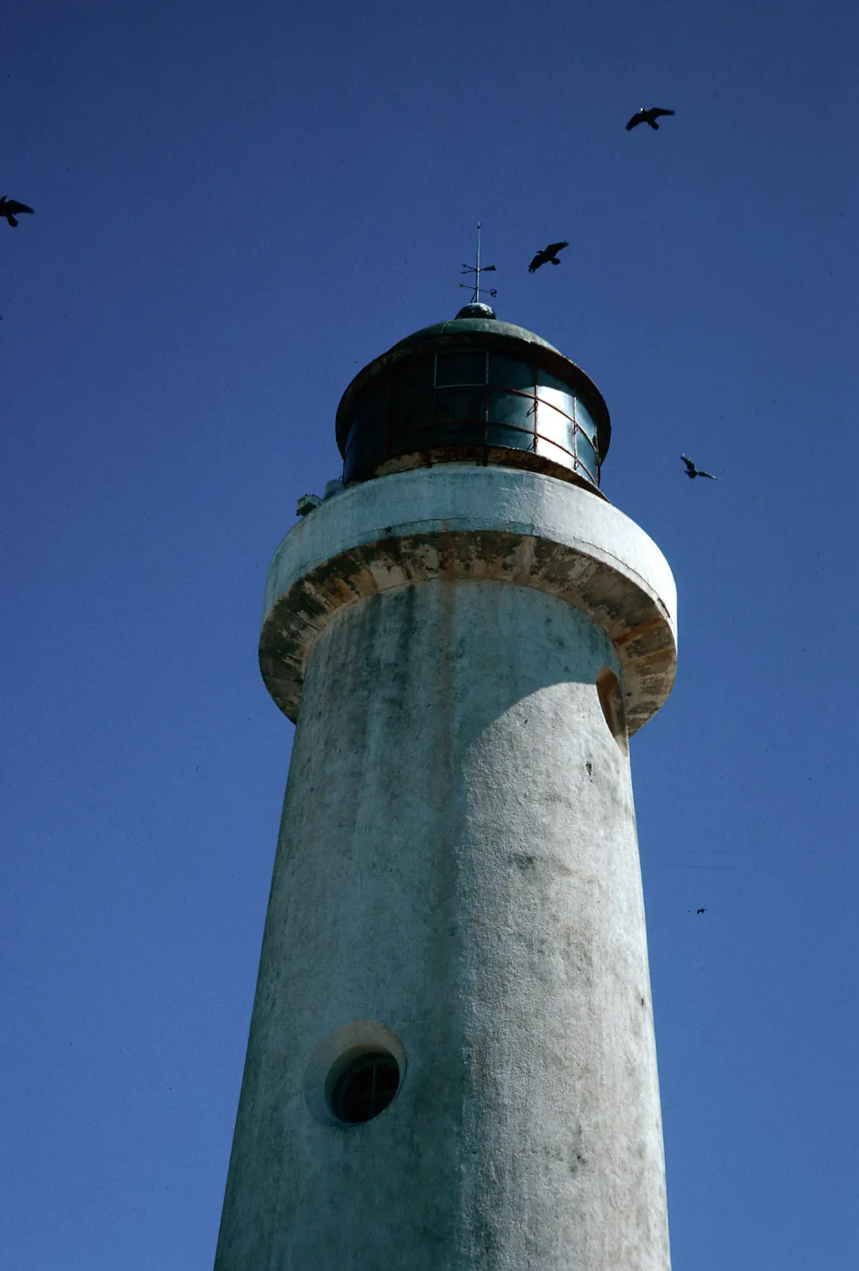 lighthouse, West San Benito Island