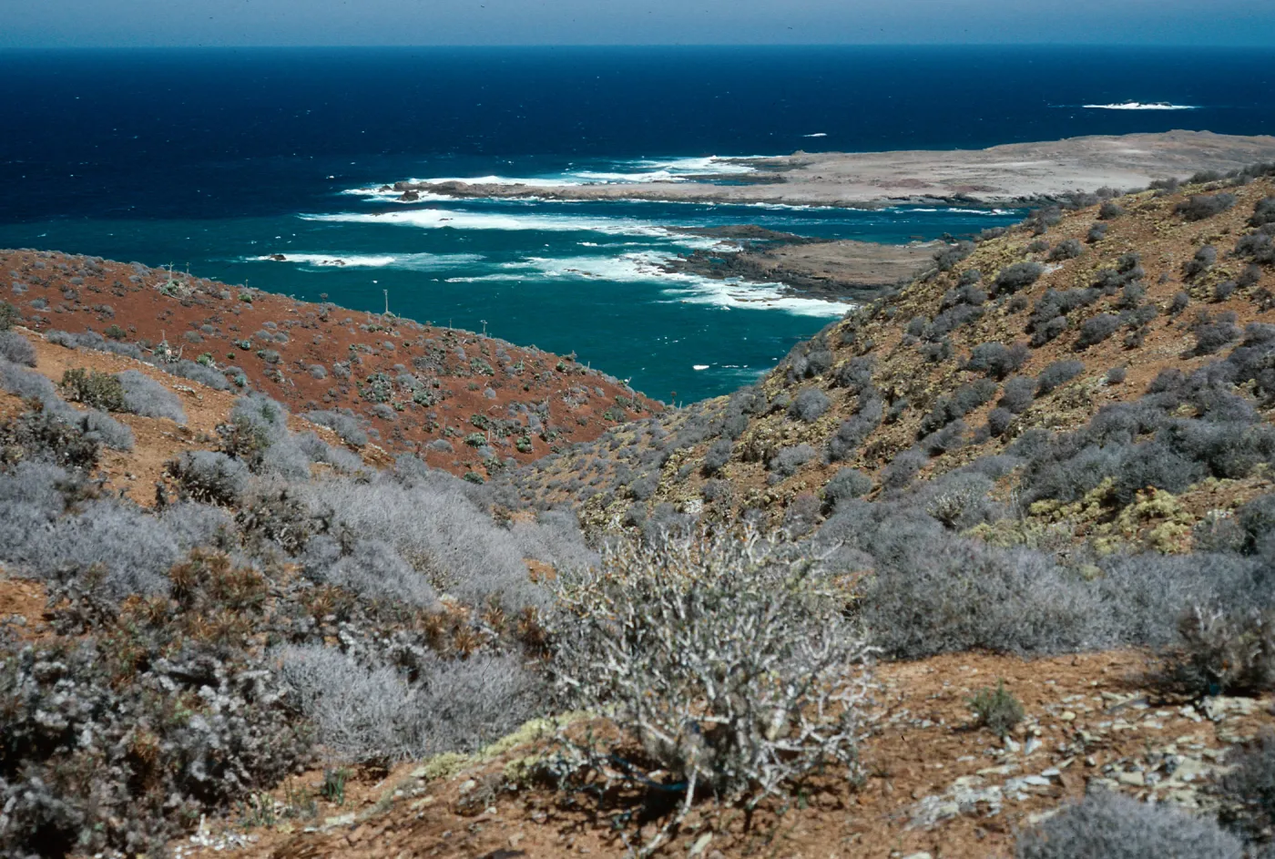 view of Middle San Benito Island,, West San Benito Island
