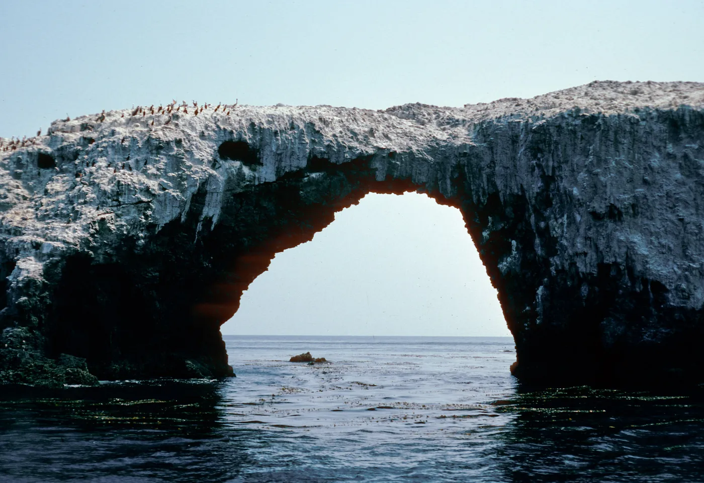 Arch Rock, East Island, Anacapa Island