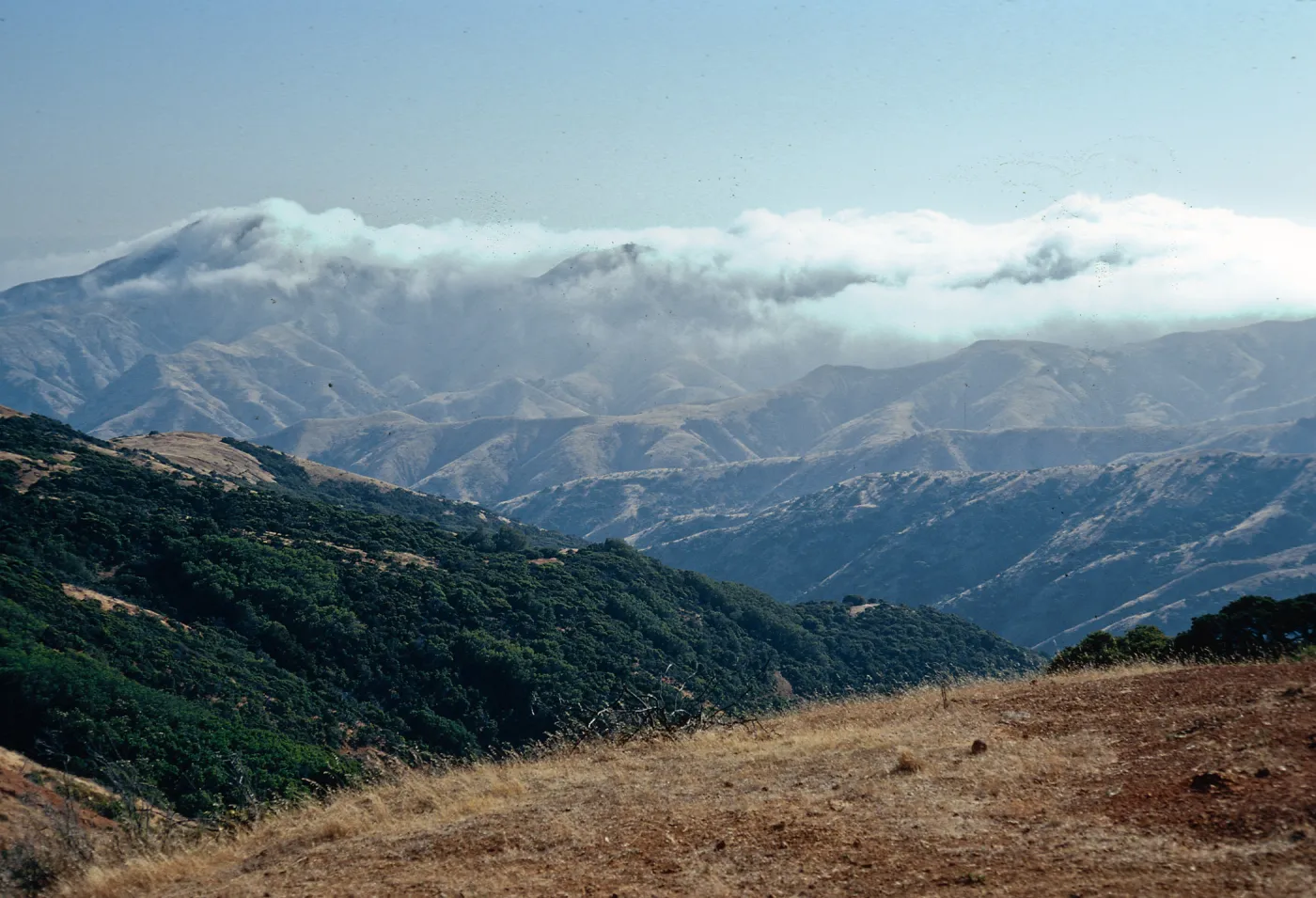 fog over Sierra Blanca, from ridge, Santa Cruz Island