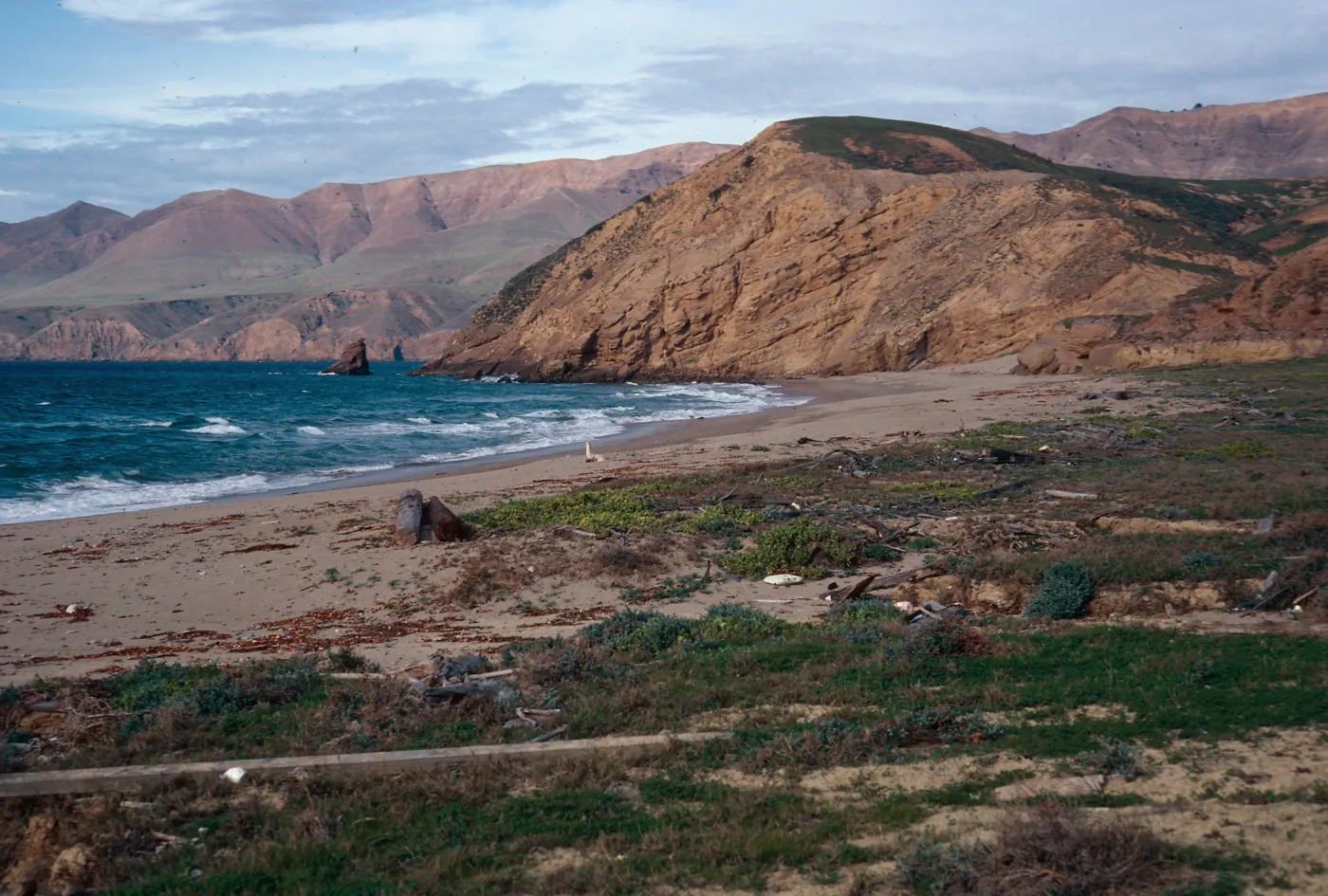 Sauces Beach, looking North, Santa Cruz Island