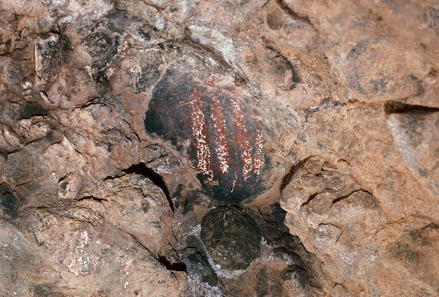 Olsens Cave, Santa Cruz Island