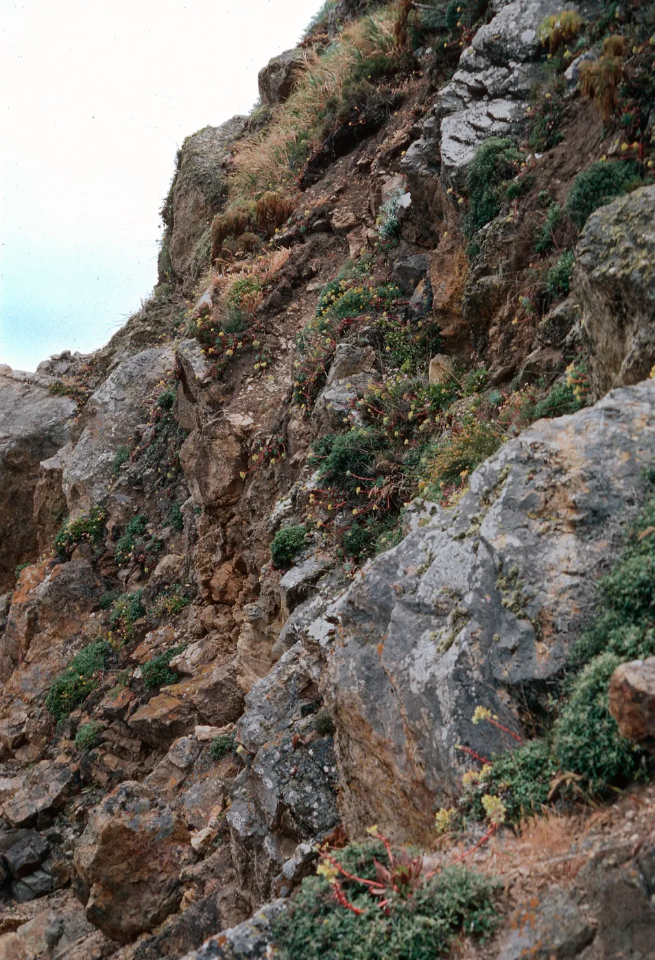 sea bluffs, mouth of Eagle Canyon, Santa Cruz Island