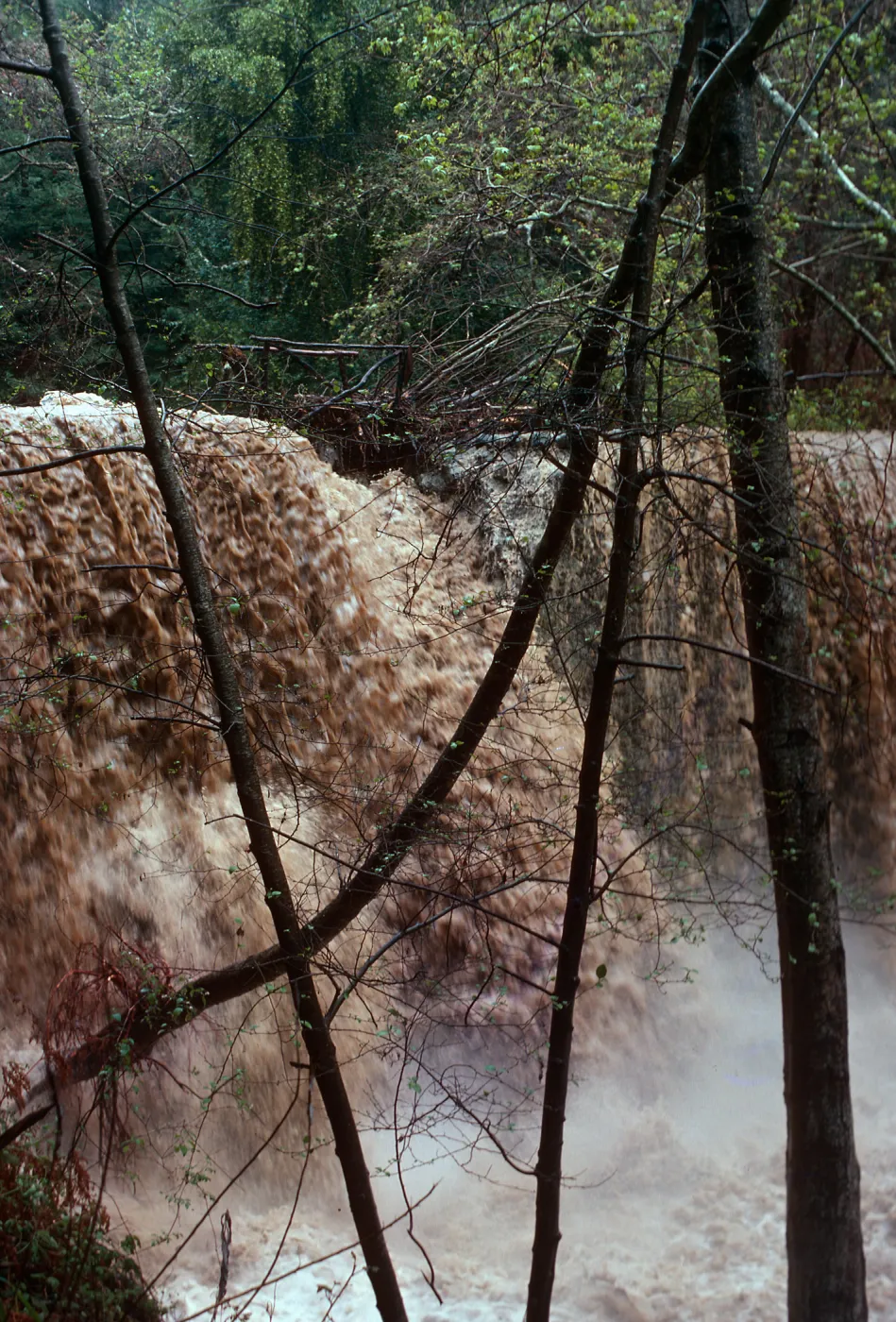 Water flowing over Mission Dam, Spring 1978