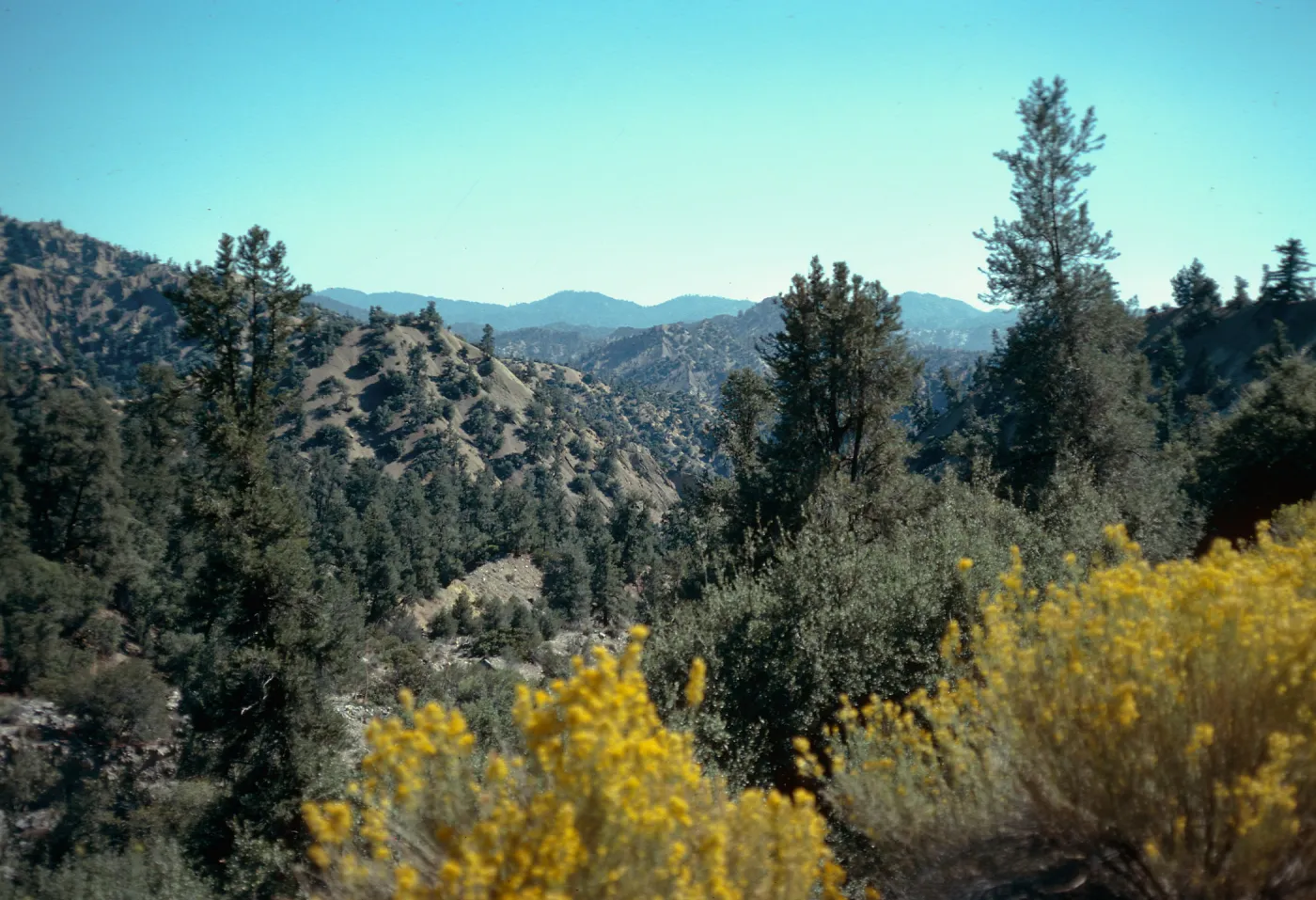 Lockwood Valley, Ventura County