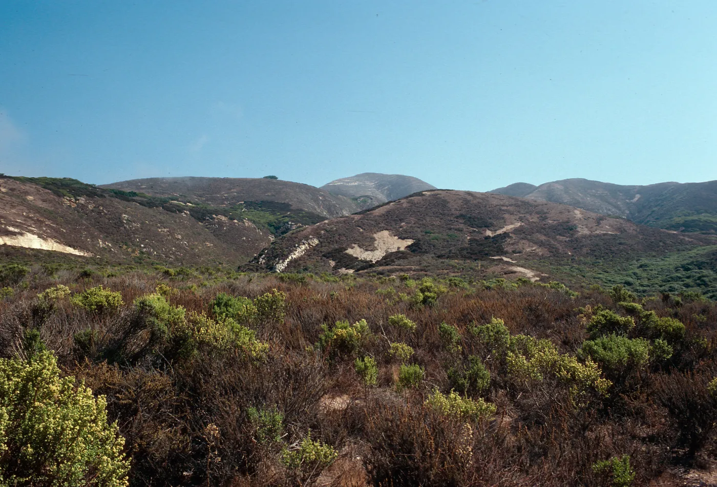 view from beginning of Coon Creek Trail, Montaña de Oro, San Luis Obispo County