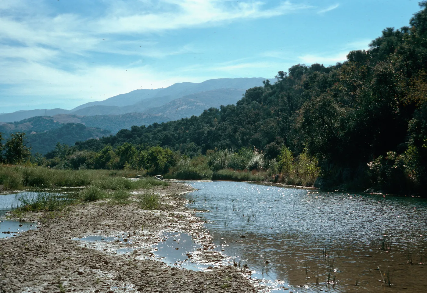 Santa Ynez River from Paradise Road
