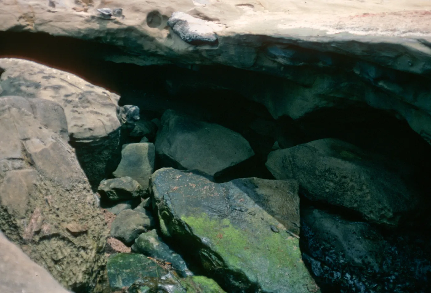 Killer Whale Cave entrance, San Nicolas Island