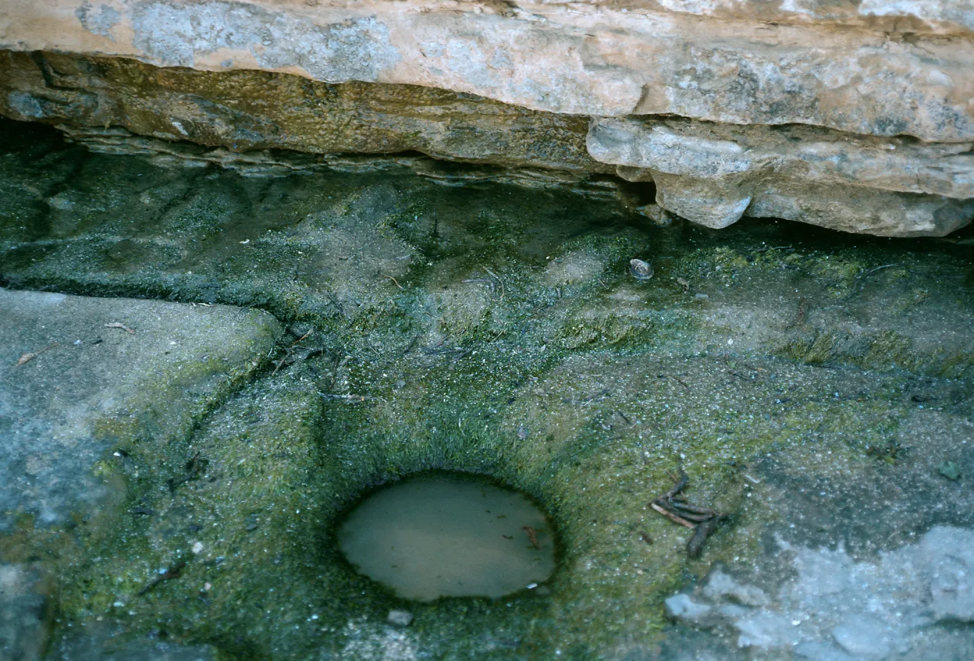 Aboriginal water source, West end of Red Eye Beach, San Nicolas Island