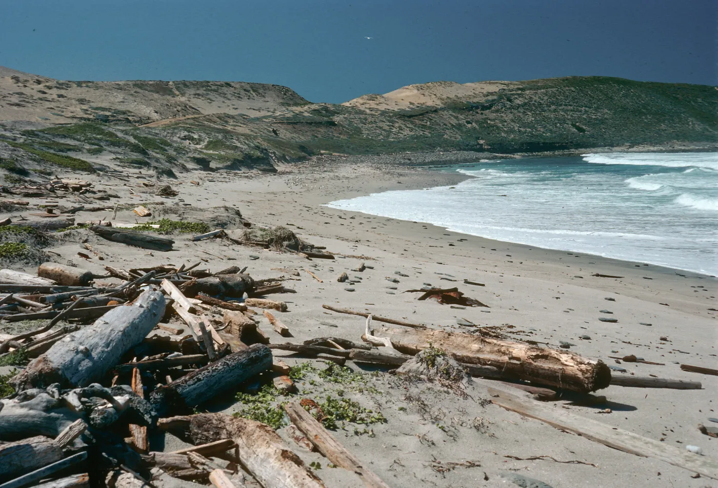 Red Eye Beach, San Nicholas Island