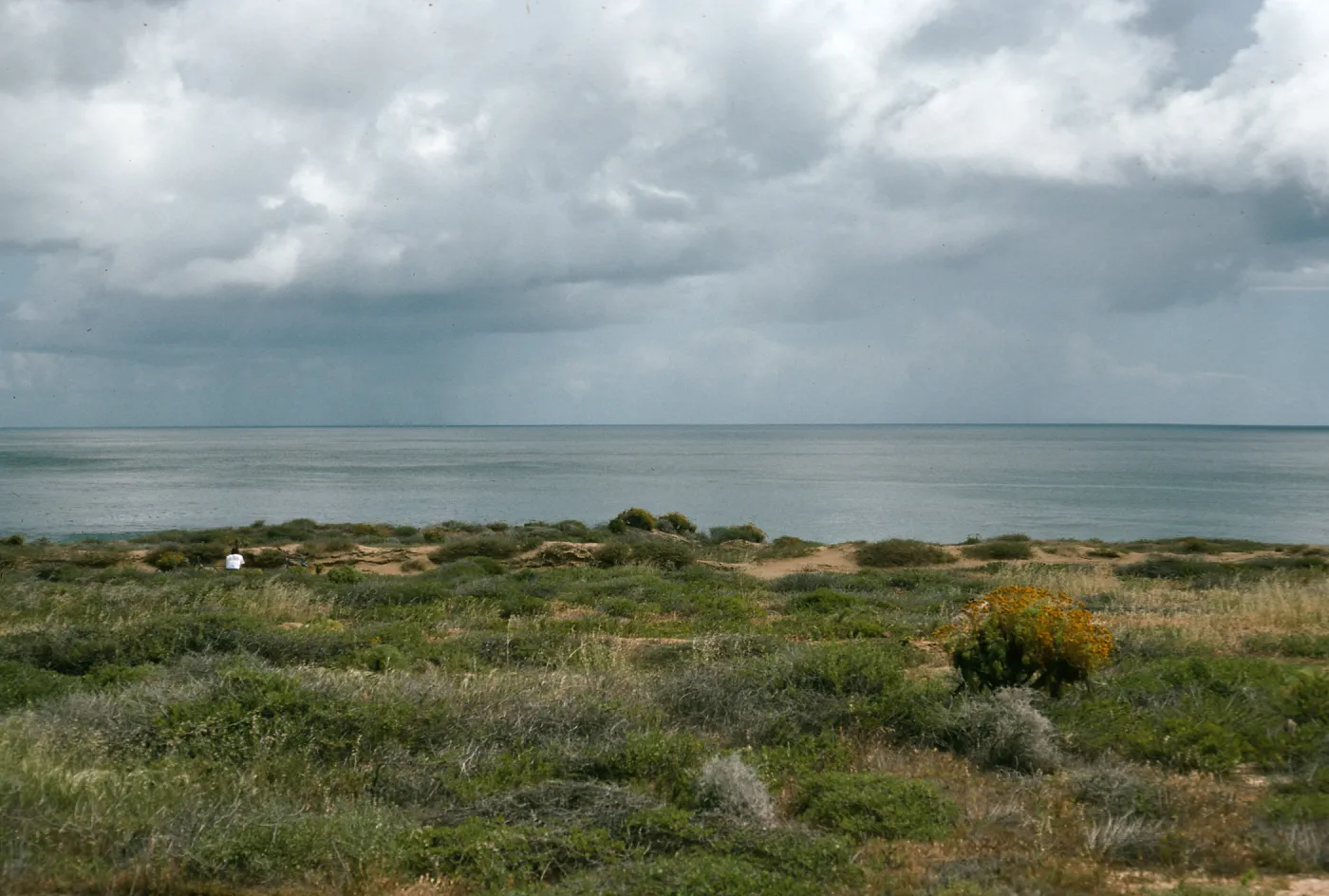 Rainstorm, Northeast flats, San Nicholas Island