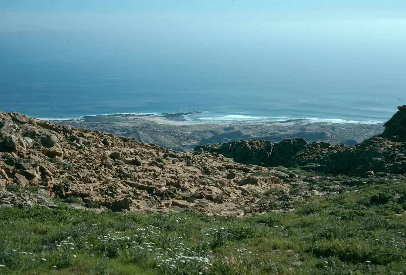 Looking to east from Theodolite Road, San Nicholas Island