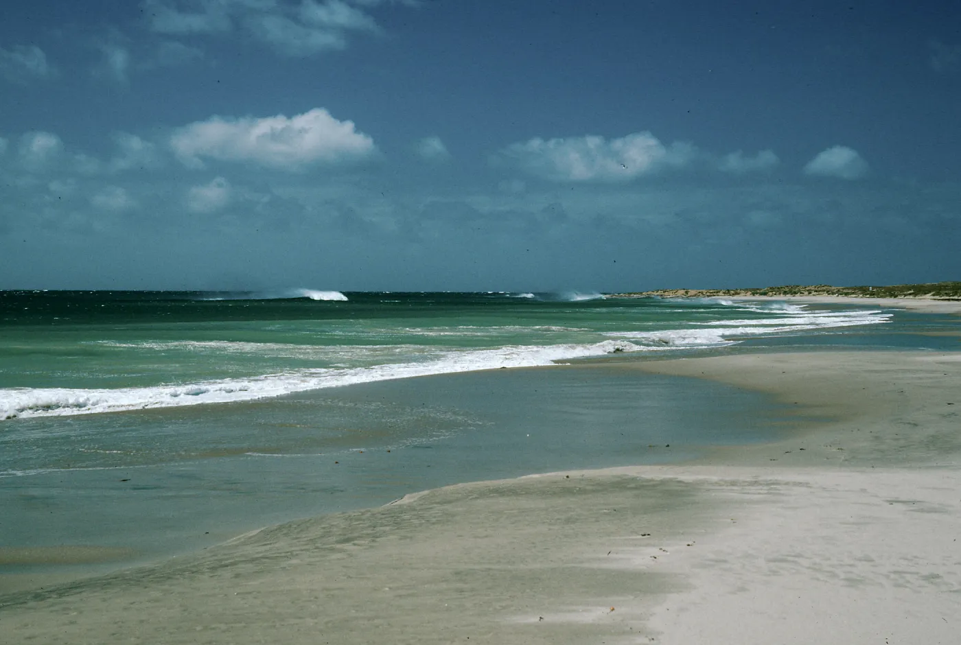 Daytona Beach, San Nicholas Island