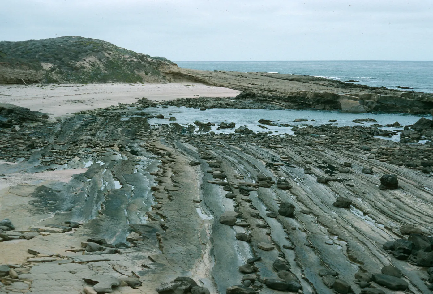 Lowtide, Corral Harbor, San Nicholas Island