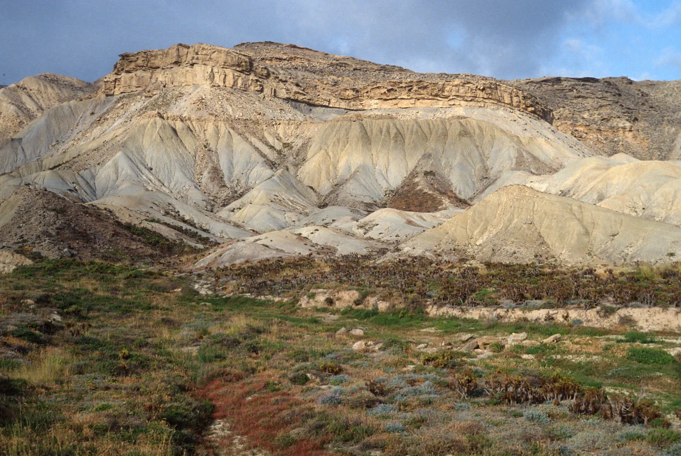 Twin Rivers Canyon, San Nicolas Island
