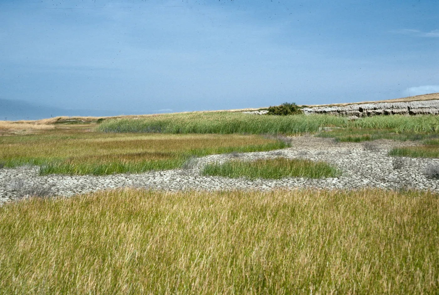 Borrow Pit, Along Monroe Drive, Looking East, San Nicolas Island