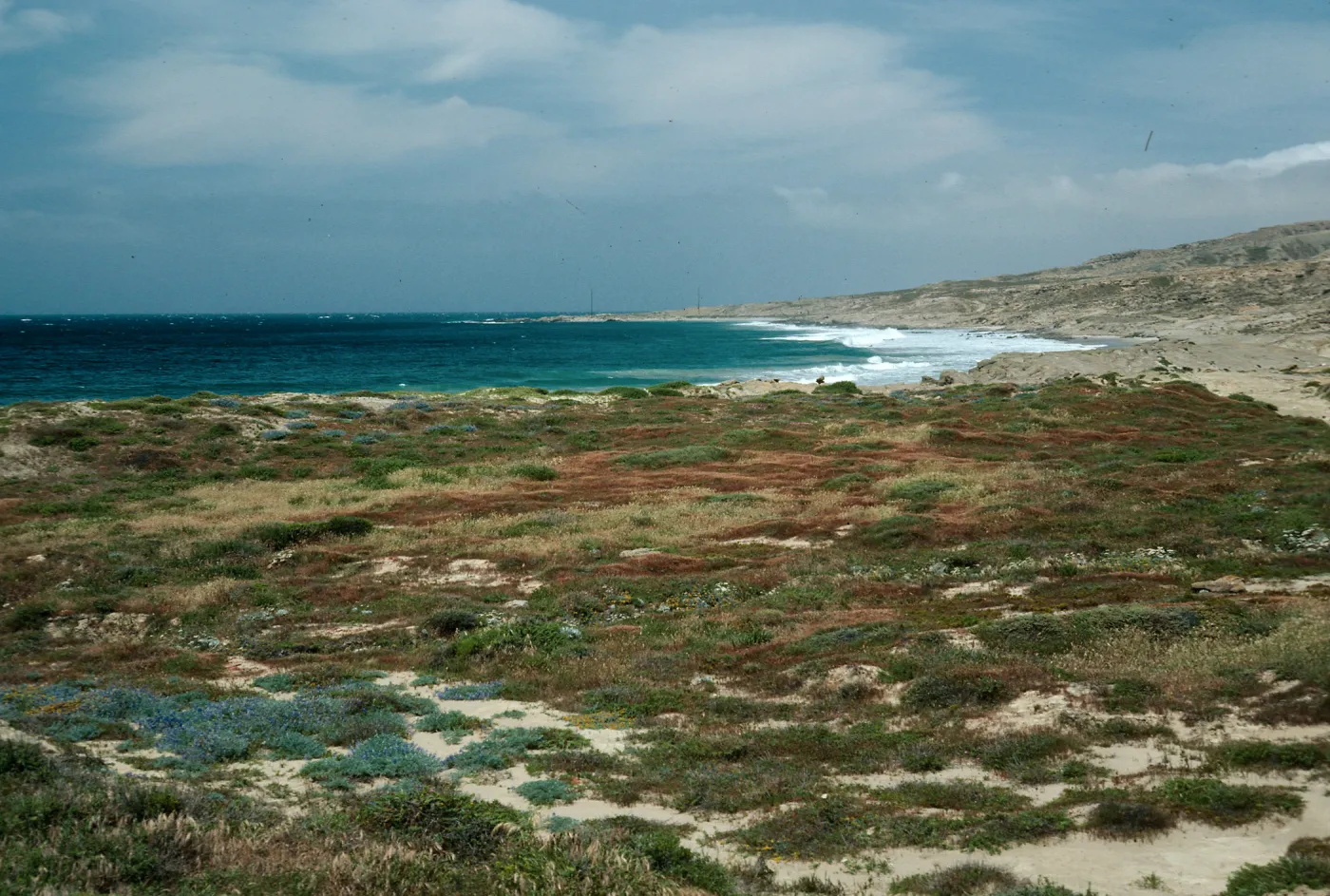East of Dutch Harbor, San Nicolas Island