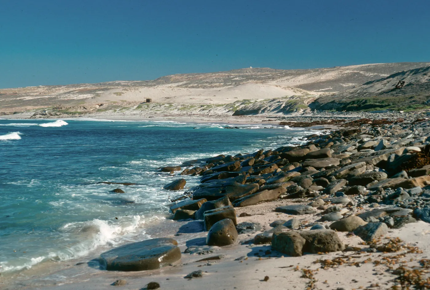 Red Eye Beach, San Nicolas Island