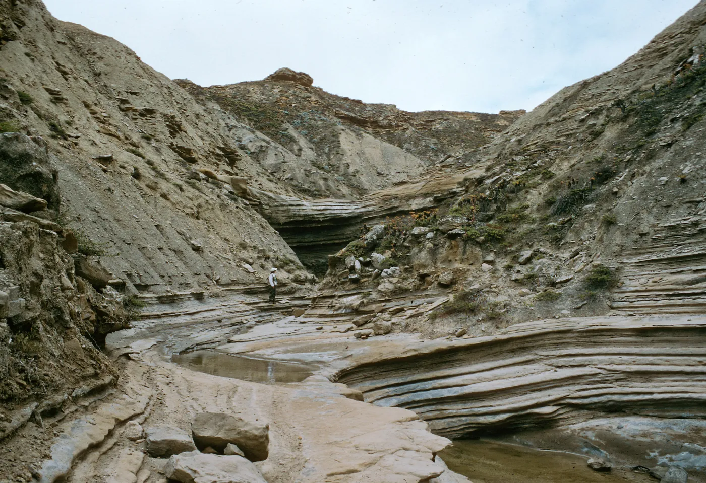 Celery Canyon, San Nicolas Island