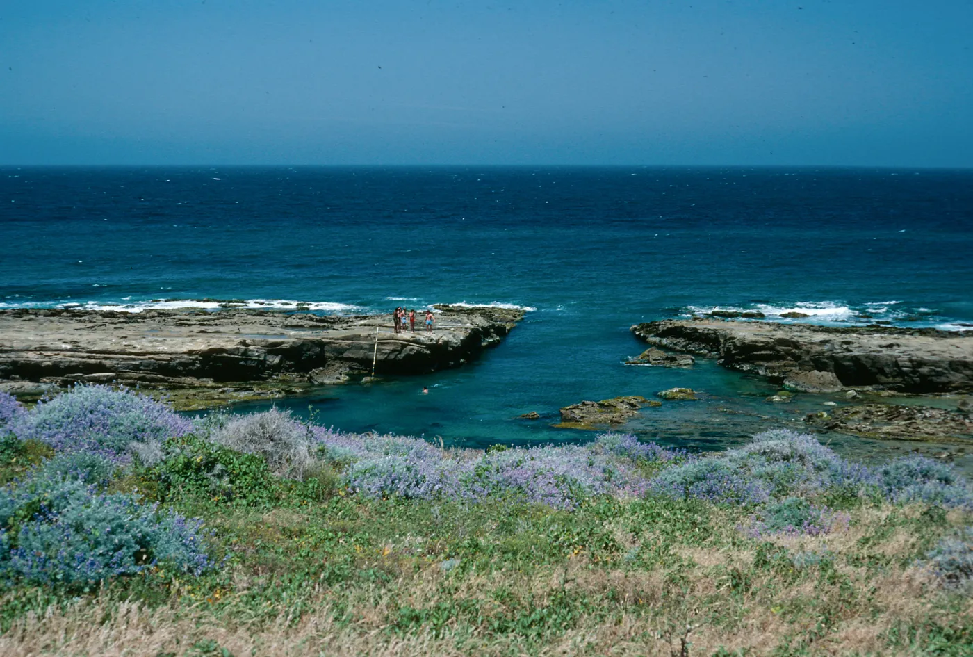 Corral Harbor, San Nicolas Island