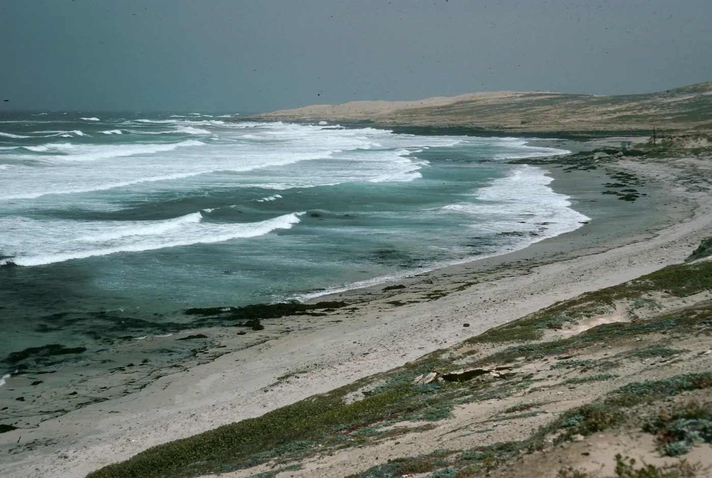 Red Eye Beach, San Nicolas Island