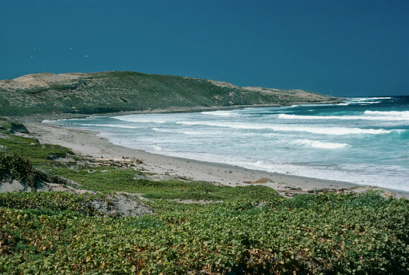 Red Eye Beach, San Nicolas Island