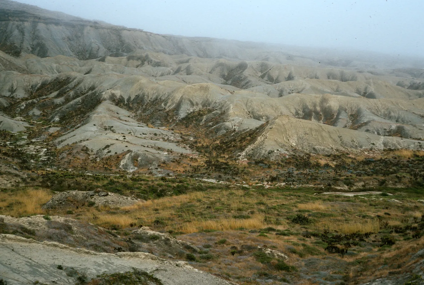 Coastal Hills, Lower Twin Rivers, San Nicolas Island