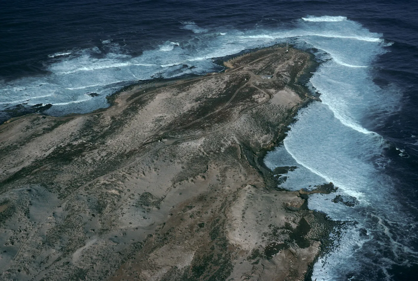 Vizcaino Point, San Nicolas Island