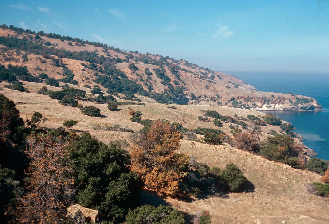 looking West toward Pelican Bay, Santa Cruz Island