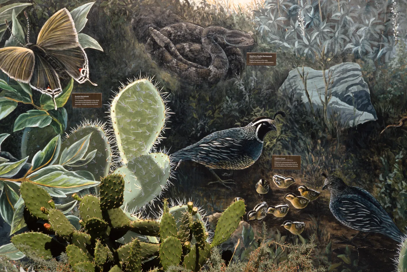 mural at airport, Santa Catalina Island