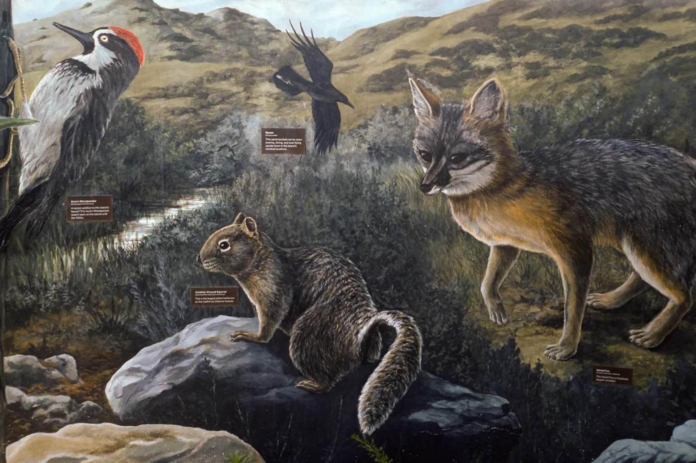 mural at airport, Santa Catalina Island