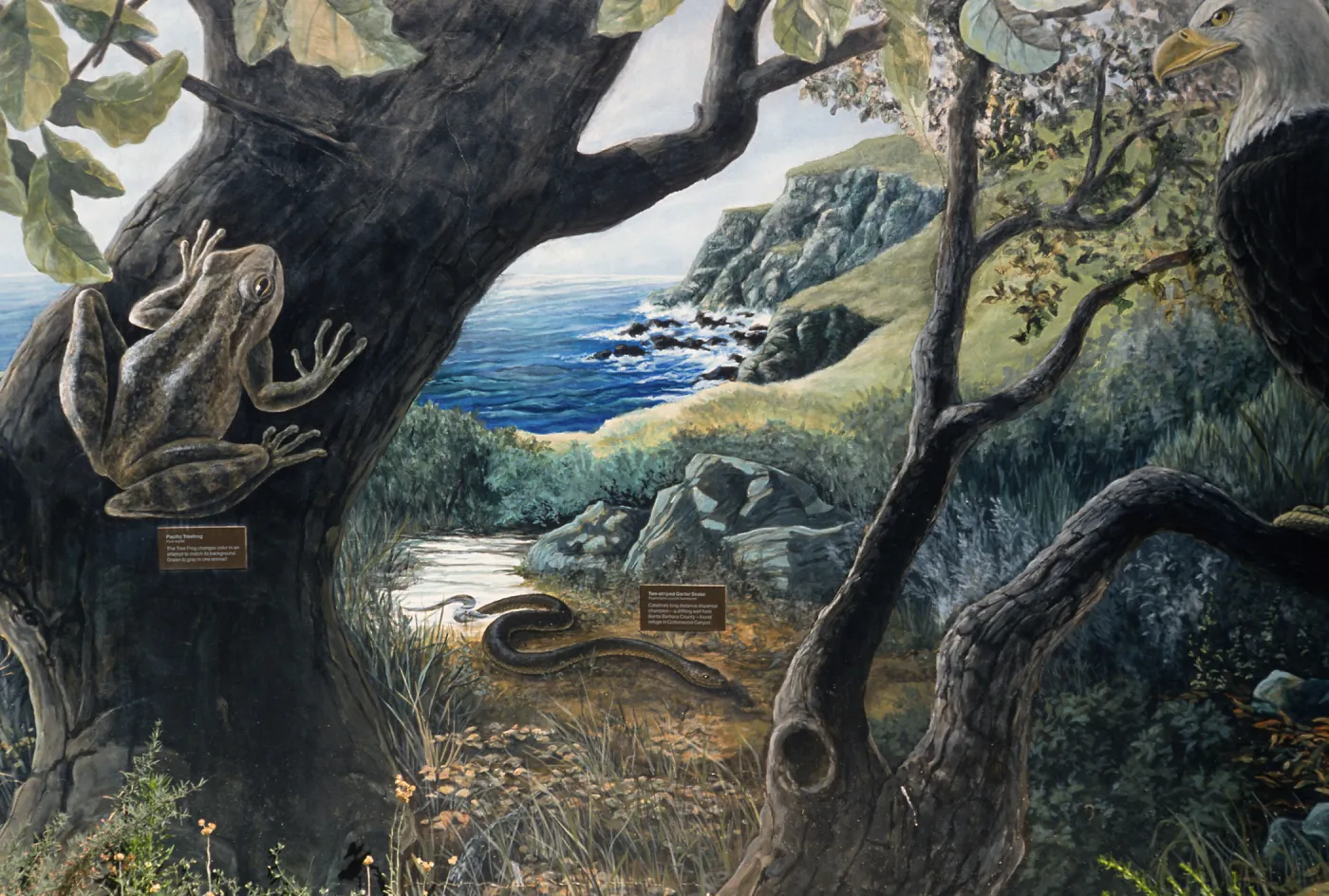 mural at airport, Santa Catalina Island