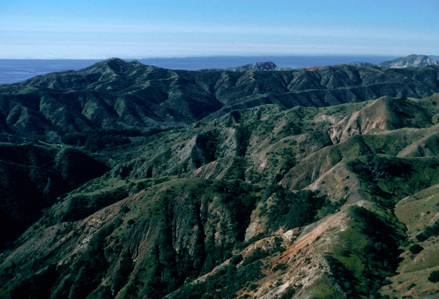 Central Valley at Cañada Del Puerto, Santa Cruz Island