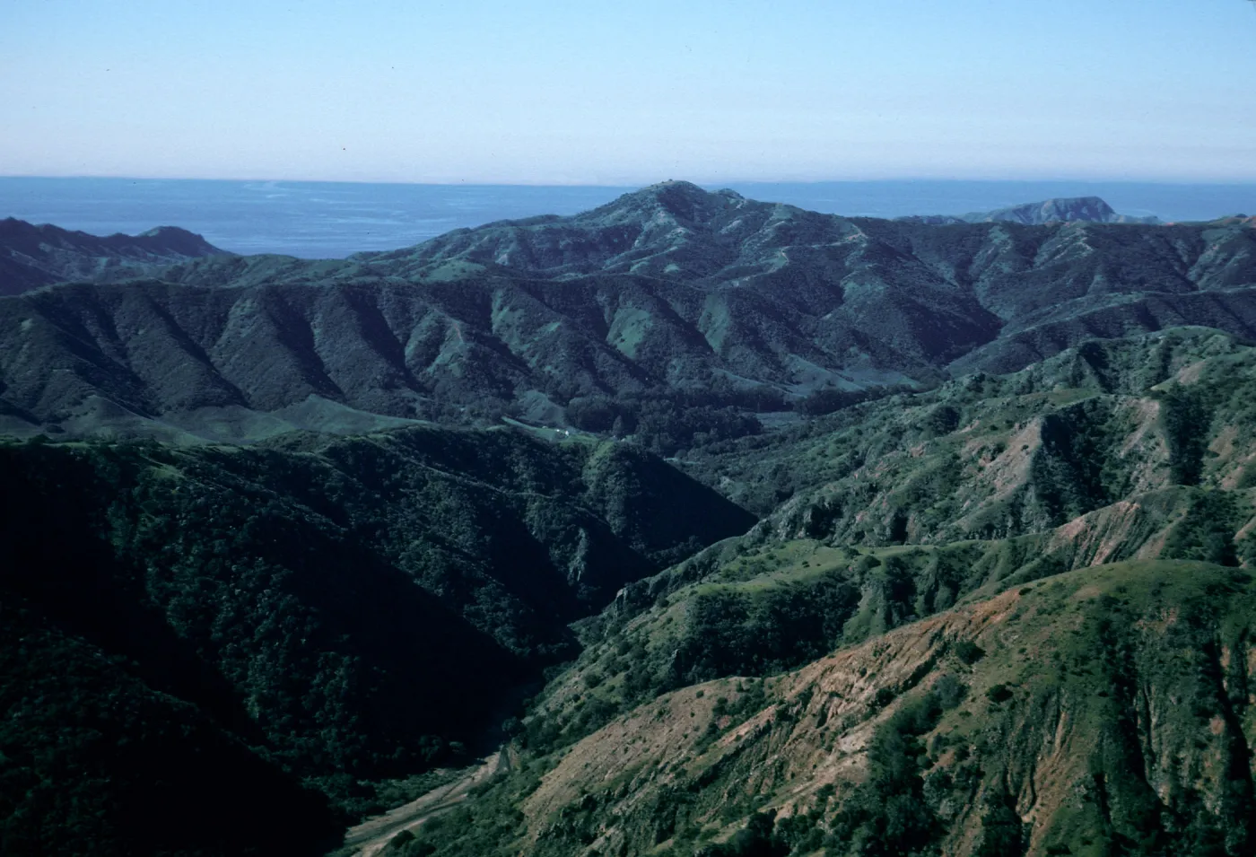 Cañada Del Puerto, Central Valley, Santa Cruz Island