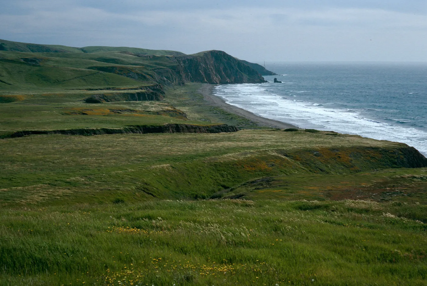 Christy Beach, Santa Cruz Island