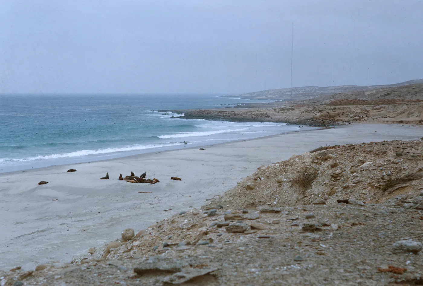 11/ looking West along coast from 1.5 miles Northwest of Dutch Harbor, 65-156 & SN-73