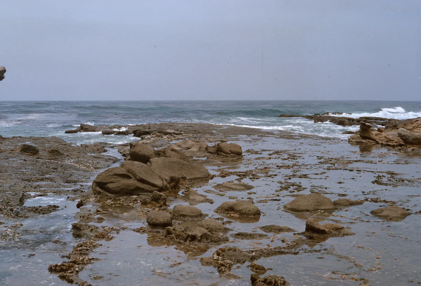 14/ algae collecting site near carrier, looking North, 65-179 & SN-96