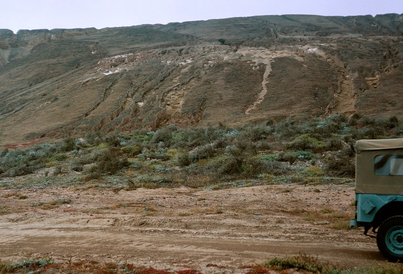 shrub - Lupinus (Lupine) Association, 1 mile Northwest Army Camp Beach, looking West-Southwest, 65-188 & SN- 105