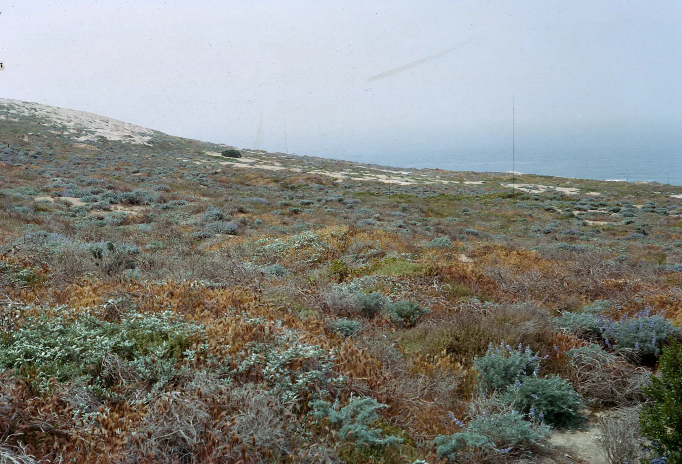 looking North at Site 1, 66-11 & SN-267