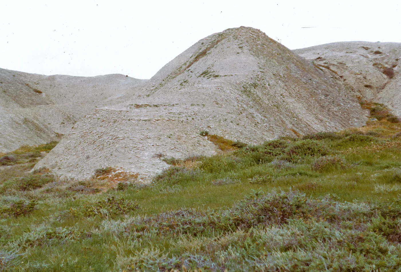 small hill at back of old beach area, 66-64 & SN-320