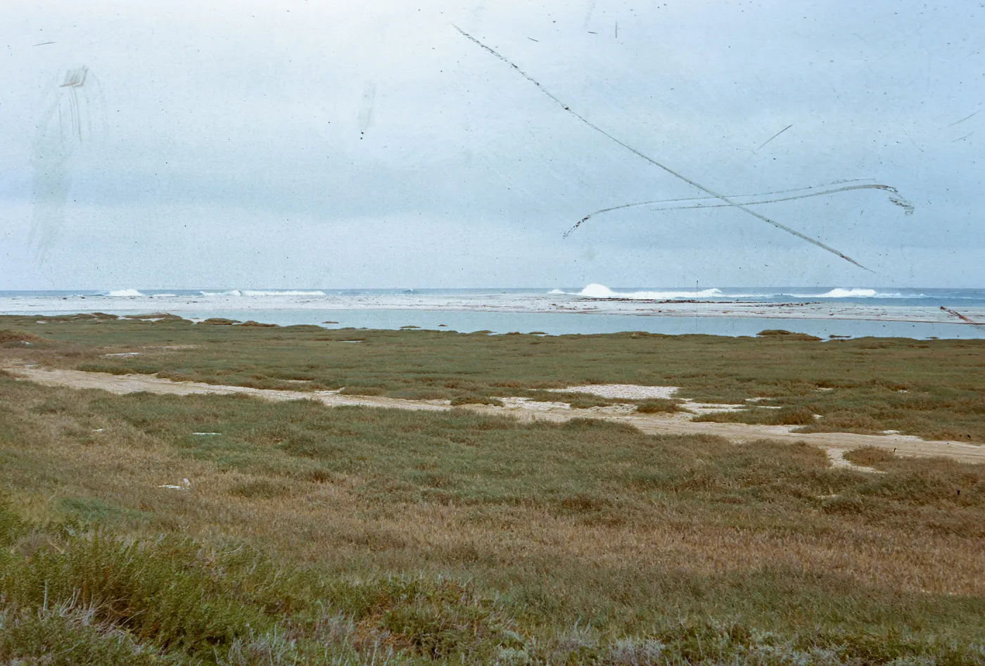 sand spit - vegetation covered behind salt water pool, 66-72 & SN-328