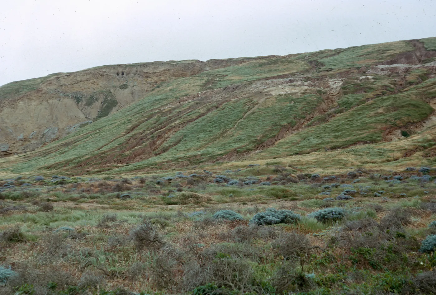 Northeast escarpment - vegetation & erosion, from the Northeast, 66-92 & SN-348