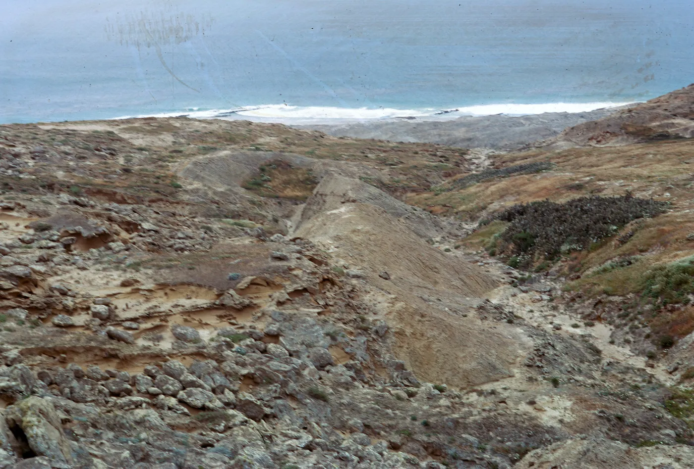 sandstone & cactus clump below Receiver Building, looking down, 66-101 & SN-357
